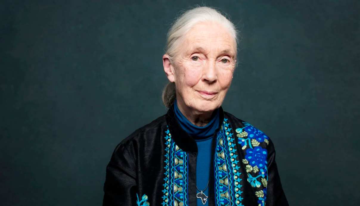 Conservationist Jane Goodall, whose work revolutionized the study of primates, has died